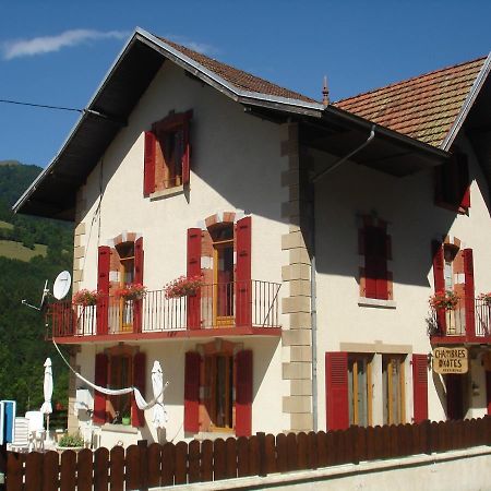 L'Horizon Des Alpes Bed and Breakfast Le Petit-Bornand-les-Glieres Εξωτερικό φωτογραφία
